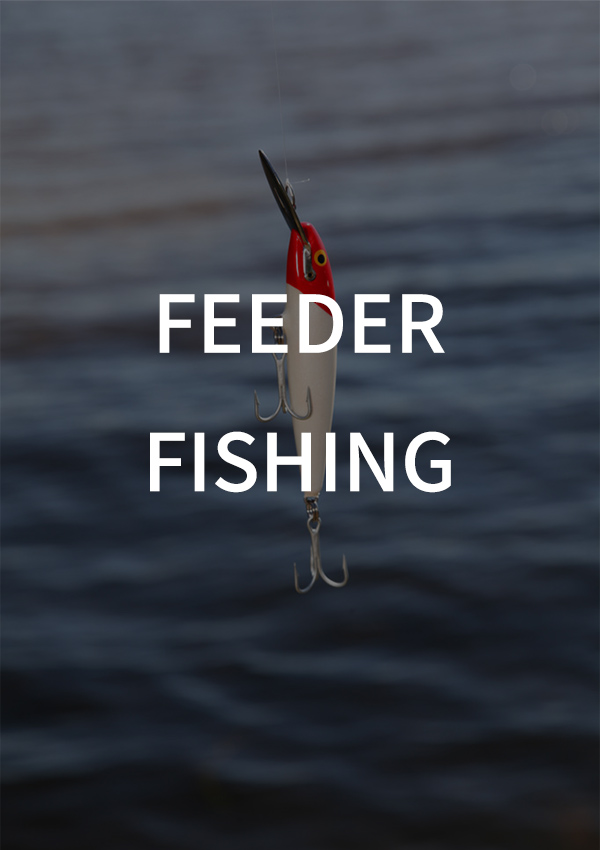 Pesca de alimentador