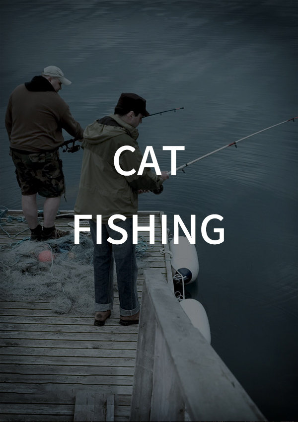 Pesca de gato