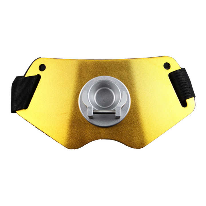 Cinturón de lucha de aluminio de oro