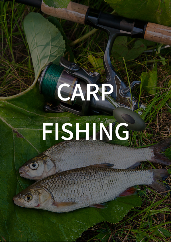 Pesca de carpa
