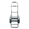 Camino de tackle de carpas