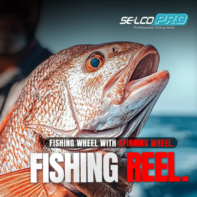 Carrete giratorio Selco SGR-HJ500 con rodamiento 1BB, relación de engranaje 5.2:1 y arrastre máximo de 3 kg, carrete de acero inoxidable de alta capacidad para pesca en agua dulce y salada