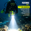 Selco Linterna de Buceo con Interruptor magnético a Prueba de Agua y cordón de muñeca, Antorcha Impermeable con Pilas AA de 150-180LM para Buceo y Uso en Exteriores